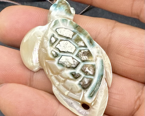 売約済み 2025.7.15海亀 沖縄産夜行貝 ネックレス・ペンダント ケン