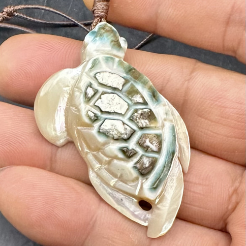 売約済み 2025.7.15海亀 沖縄産夜行貝 ネックレス・ペンダント ケン