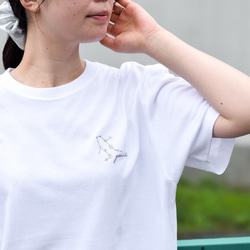 2025新作】選べる十二星座 ワンポイント刺繍Tシャツ【ホワイト】メンズ