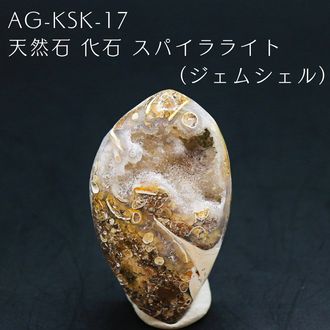 AG-KSK-17　天然石 化石 スパイラライト （ジェムシェル）