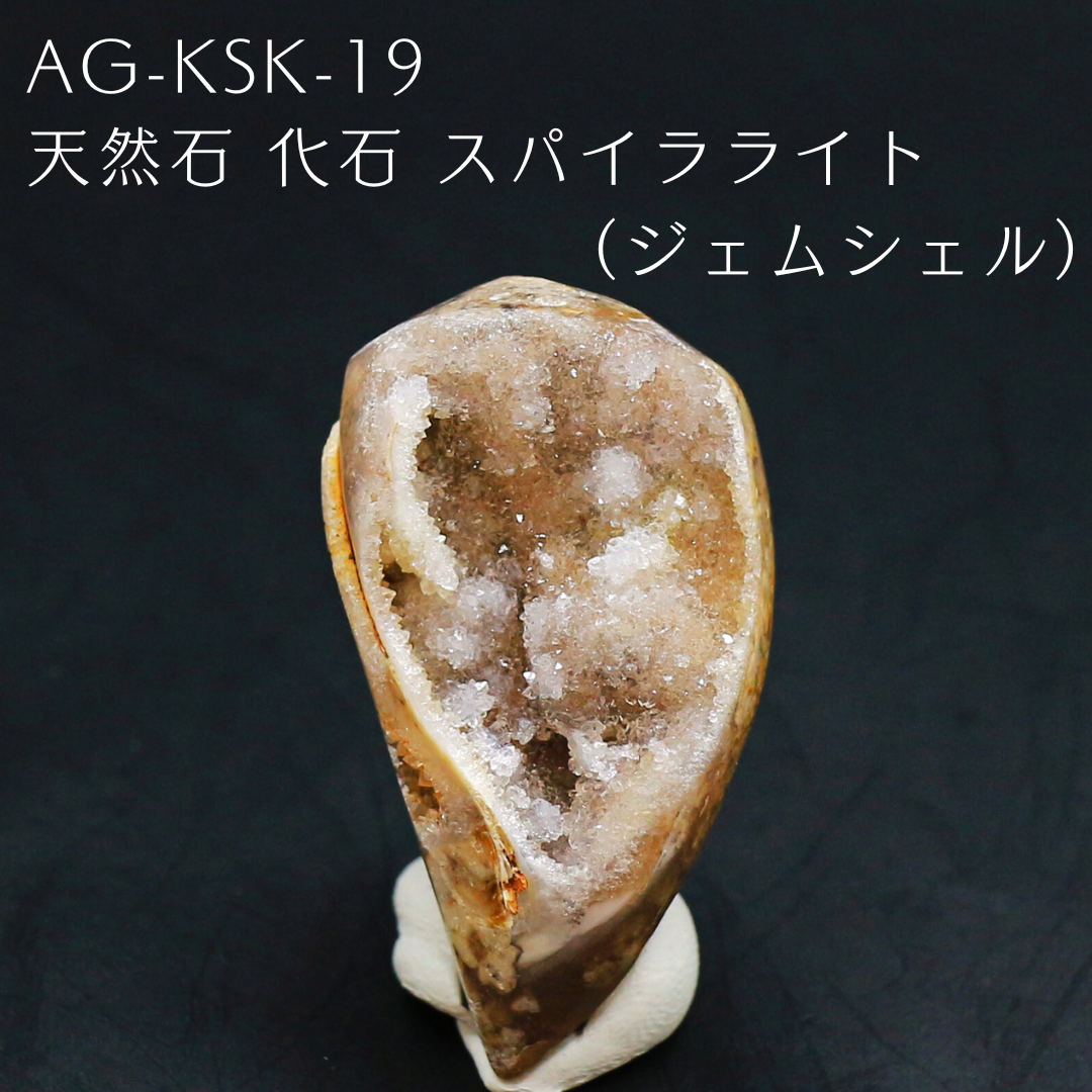 AG-KSK-19　天然石 化石 スパイラライト （ジェムシェル）