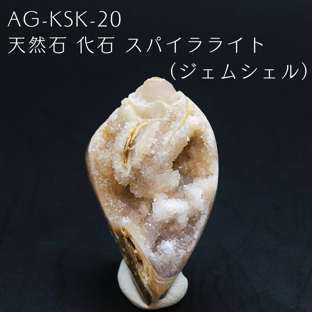 AG-KSK-20　天然石 化石 スパイラライト （ジェムシェル）
