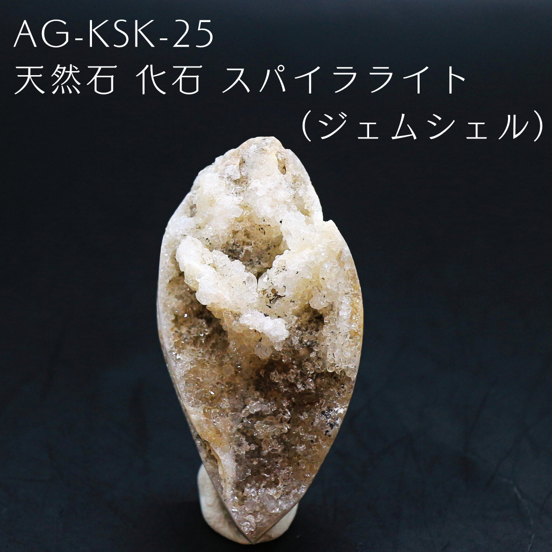 AG-KSK-25　天然石 化石 スパイラライト （ジェムシェル）