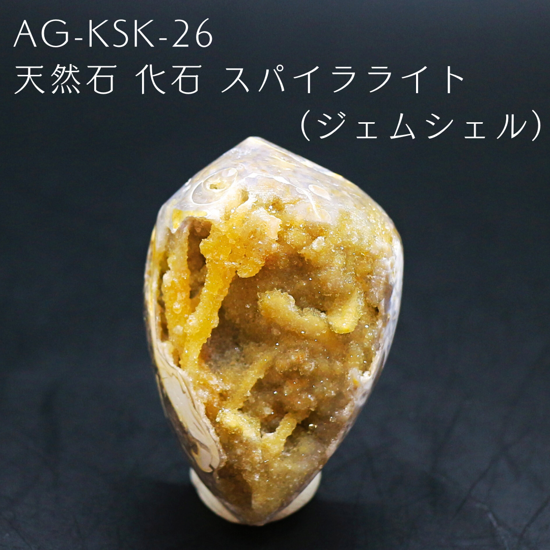 AG-KSK-26　天然石 化石 スパイラライト （ジェムシェル）
