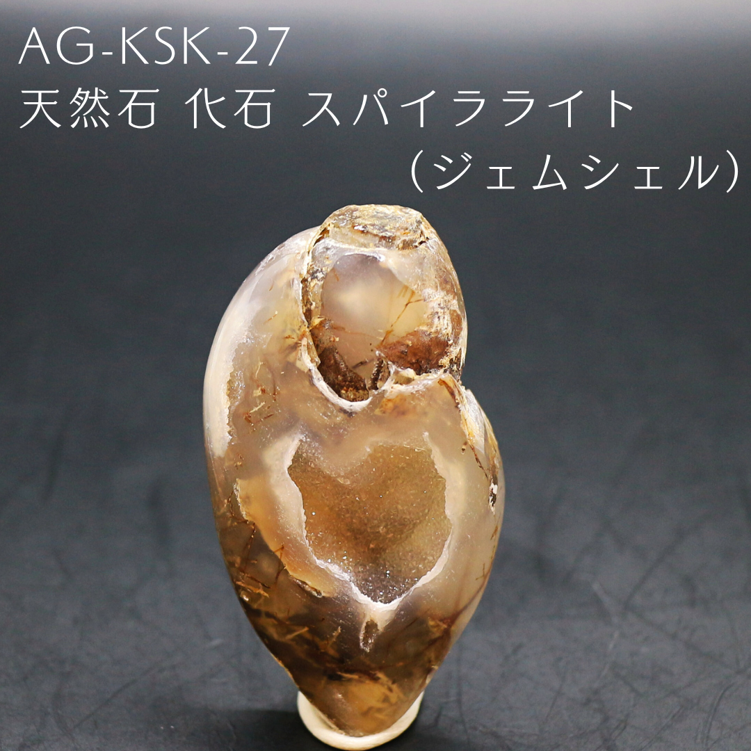 AG-KSK-27　天然石 化石 スパイラライト （ジェムシェル）
