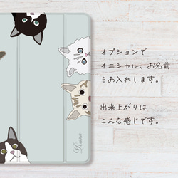 猫  iPadケース ペン収納 軽量 背面クリア あいぱっどけーす スタンド機能 5枚目の画像