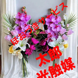 光触媒　人工観葉植物　ウォールグリーン　フェイクグリーン　オリーブカラテア120 光触媒 人工観葉植物 ウォールグリーン フェイクグリーン