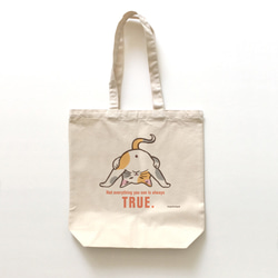 専用につき　他の方のご購入不可です　　トートバッグ トートバッグ ちからをあわせて（受注生産） トートバッグ 河童