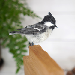 ＊野鳥＊羊毛フェルトヒガラの木の時計 7枚目の画像