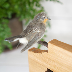 ＊野鳥＊羊毛フェルトニシオジロビタキ(オス)の木の時計 9枚目の画像