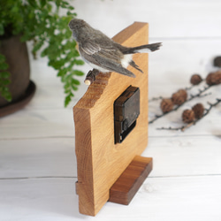 ＊野鳥＊羊毛フェルトニシオジロビタキ(オス)の木の時計 6枚目の画像