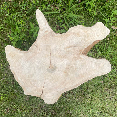 桧の切り株スツール「素のまますすむ。」 【特価】 椅子（チェアー