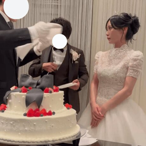 実例写真！のみボレロ 半袖 ハイネック キラキラ光る刺繍 韓国風ドレス  