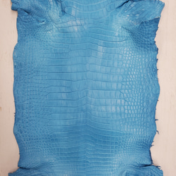 ワニ革  クロコ　半艶マット  スカイブルー No.C008603 4枚目の画像