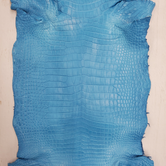 ワニ革  クロコ　半艶マット  スカイブルー No.C008603 4枚目の画像