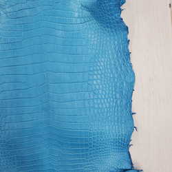 ワニ革  クロコ　半艶マット  スカイブルー No.C008603 14枚目の画像