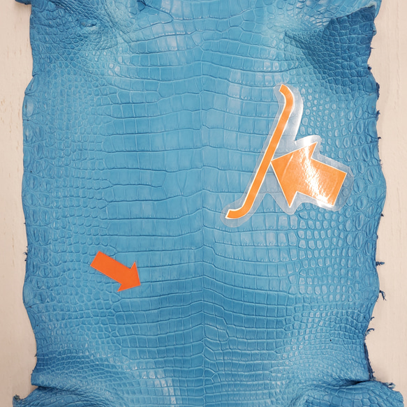 ワニ革  クロコ　半艶マット  スカイブルー No.C008603 10枚目の画像