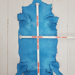 ワニ革  クロコ　半艶マット  スカイブルー No.C008603 6枚目の画像