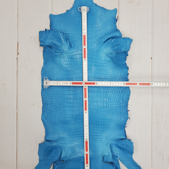 ワニ革  クロコ　半艶マット  スカイブルー No.C008603 6枚目の画像