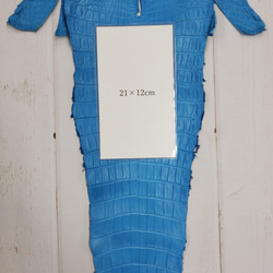ワニ革  クロコ　半艶マット  スカイブルー No.C008603 9枚目の画像