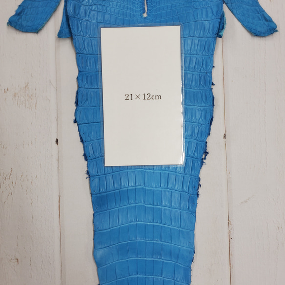 ワニ革  クロコ　半艶マット  スカイブルー No.C008603 9枚目の画像