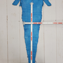 ワニ革  クロコ　半艶マット  スカイブルー No.C008603 7枚目の画像