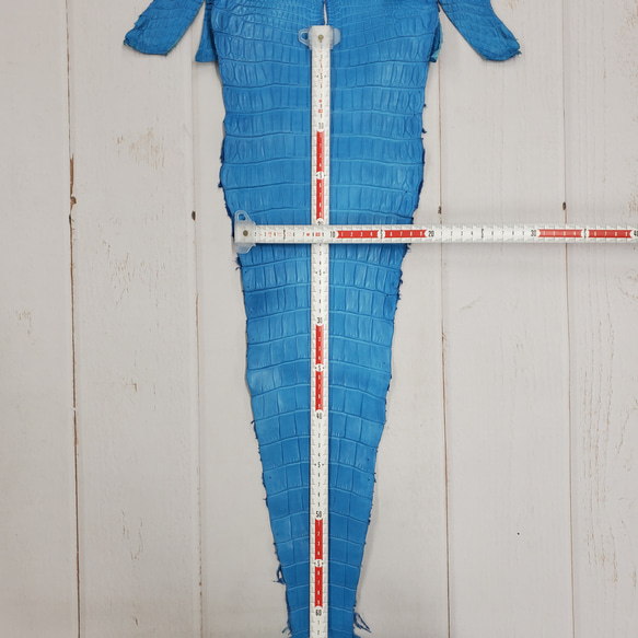 ワニ革  クロコ　半艶マット  スカイブルー No.C008603 7枚目の画像