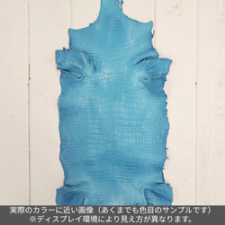 ワニ革  クロコ　半艶マット  スカイブルー No.C008603 2枚目の画像