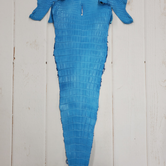 ワニ革  クロコ　半艶マット  スカイブルー No.C008603 5枚目の画像