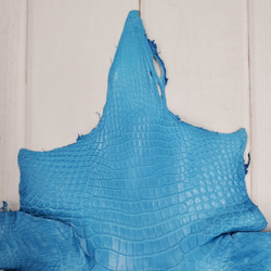 ワニ革  クロコ　半艶マット  スカイブルー No.C008603 3枚目の画像