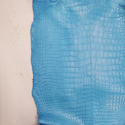 ワニ革  クロコ　半艶マット  スカイブルー No.C008603 13枚目の画像