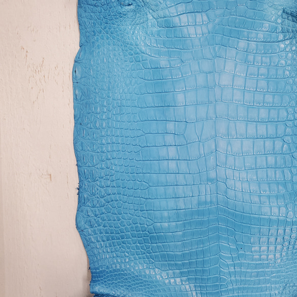 ワニ革  クロコ　半艶マット  スカイブルー No.C008603 13枚目の画像