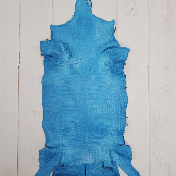 ワニ革  クロコ　半艶マット  スカイブルー No.C008603 1枚目の画像