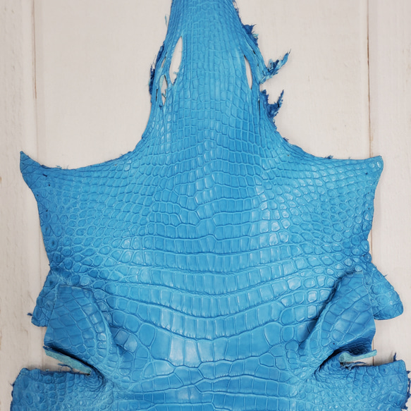 ワニ革  クロコ 半艶マット  スカイブルー No.C008604 3枚目の画像