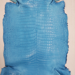 ワニ革  クロコ 半艶マット  スカイブルー No.C008604 4枚目の画像