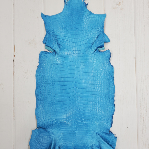 ワニ革  クロコ 半艶マット  スカイブルー No.C008604 1枚目の画像