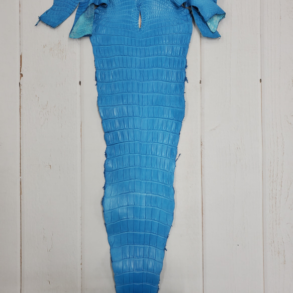 ワニ革  クロコ 半艶マット  スカイブルー No.C008604 5枚目の画像