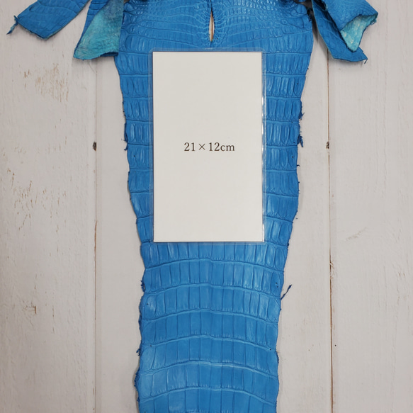 ワニ革  クロコ 半艶マット  スカイブルー No.C008604 9枚目の画像