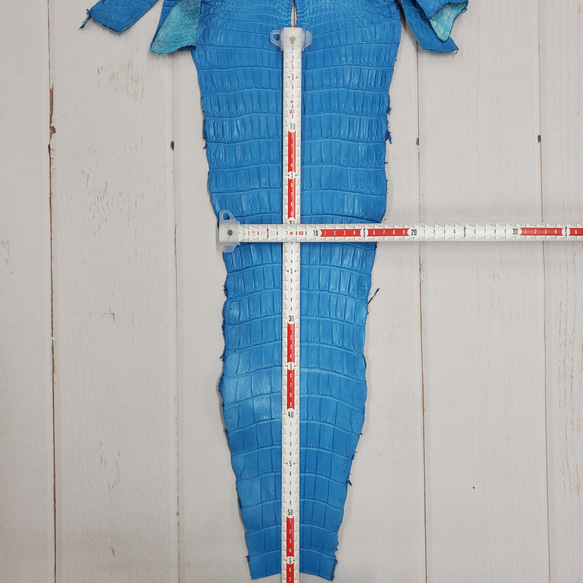 ワニ革  クロコ 半艶マット  スカイブルー No.C008604 7枚目の画像