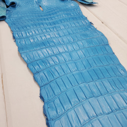 ワニ革  クロコ 半艶マット  スカイブルー No.C008604 14枚目の画像