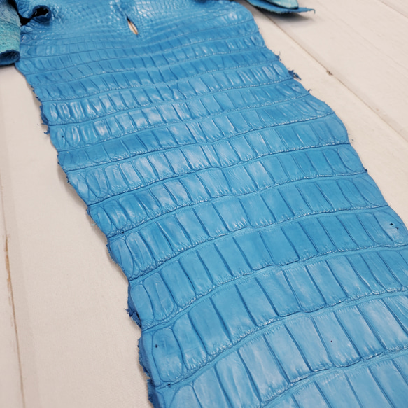 ワニ革  クロコ 半艶マット  スカイブルー No.C008604 14枚目の画像