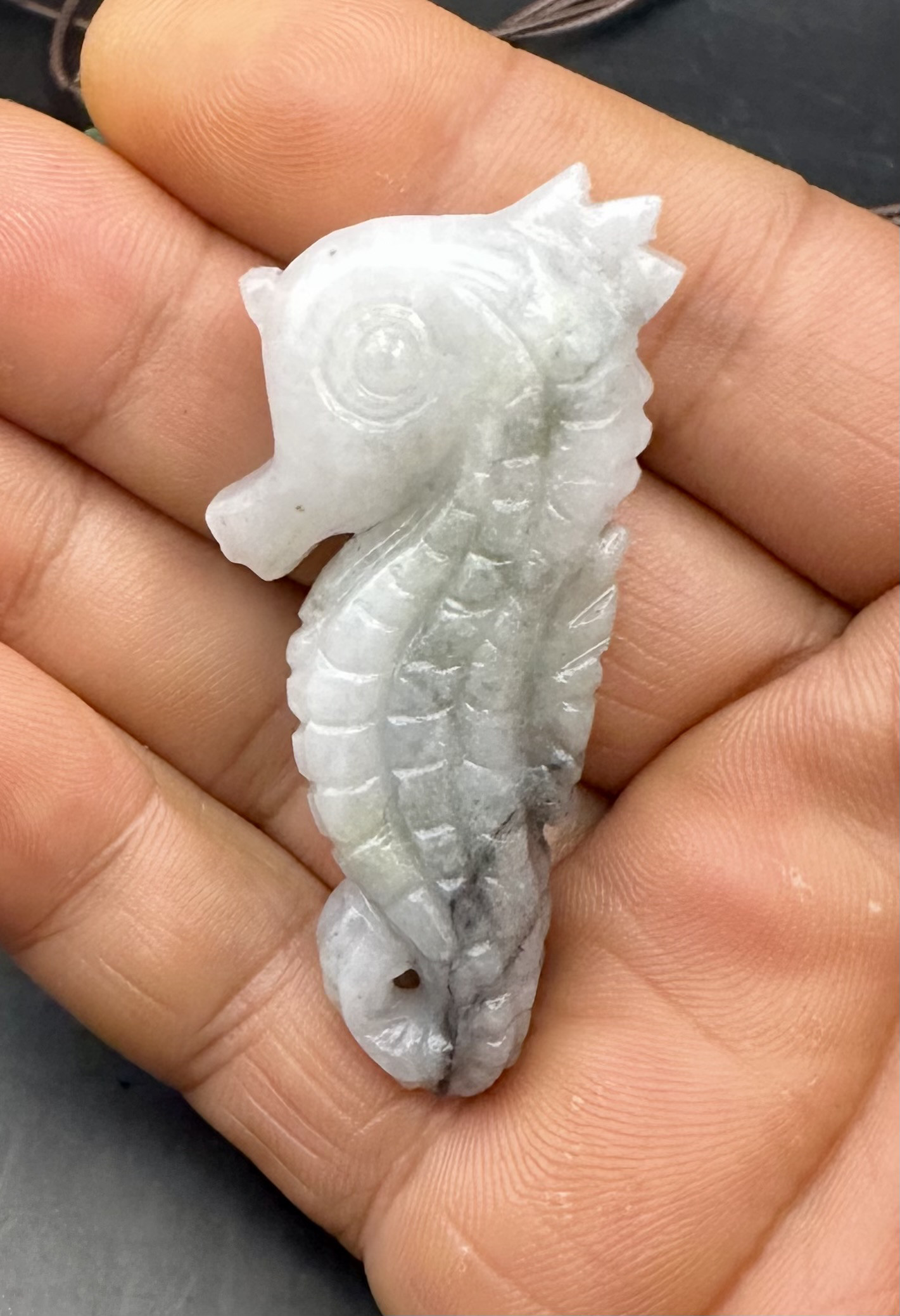 2025.7.16神使いタツノオトシゴ　糸魚川ロウカン翡翠