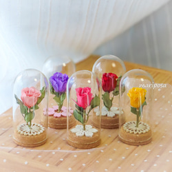 コスモス・秋を楽しむ4色の秋桜の花 18輪 【Lサイズ】～ クリアタグ