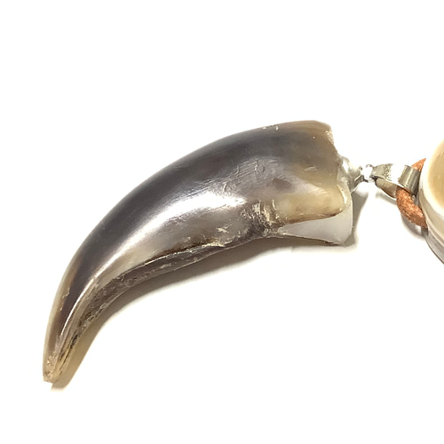 一点物☆魔.除けの御守り 羆 熊の爪 ＆ 天眼石 ネックレス ① ヒグマ