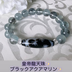 天然石　スターガーネット　金剛杵天珠　ブレスレット 双心金剛杵天珠&スターガーネット ブレスレット candle shop 燈