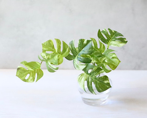 モンステラ フェイクグリーン 観葉植物 おしゃれ インテリアグリーン