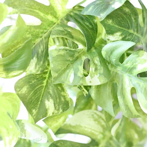 モンステラ 斑入り フェイクグリーン 造花 観葉植物 ガラス花瓶 卓上