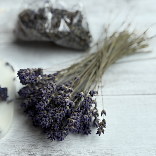 ラベンダーナチュラルアロマワックスサシェ ドライハーブ3点セット