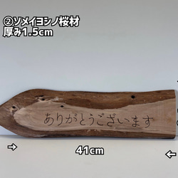 天然木！DIY素材 木材 カイズカイブキ 木材・板 森と緑と風 工房 通販