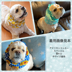 *小-108*犬用スヌード（綿100％）フリーサイズ（ゴム調整可能）かき氷 5枚目の画像